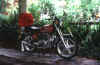 motorbike.jpg (57599 bytes)